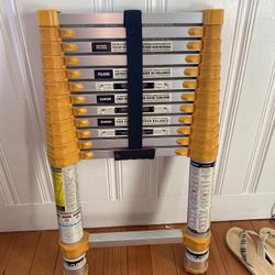 Telescoping Ladder