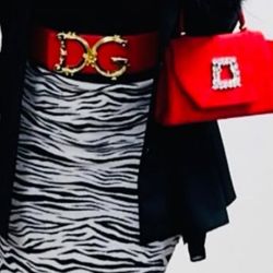 Dolce And gabanna Large Waist Belt Red 