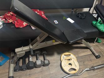 Bench and weights