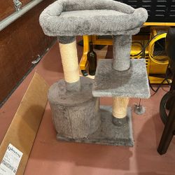 Small Cat Tree Kitten