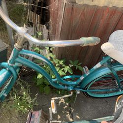 26” Beach Cruiser 