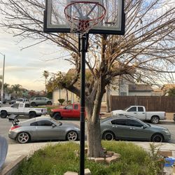 Basketball Court 