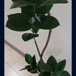 *** NEW LOW PRICE ***8ft Faux Fiddle Leaf Tree with Dragon Blood Stone in a Gray Ceramic Planter @ Lasting Creations