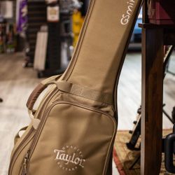 TAYLOR GS MINI GIG BAG