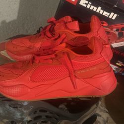 High Risk Red Gum Puma