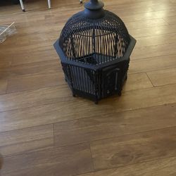 Bird Cage