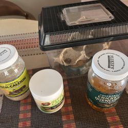 Crickets For Reptiles 
