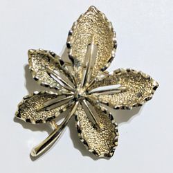 Vintage Sarah Coventry Gold Maple Leaf Brooch