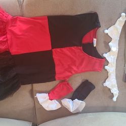 Harley Quinn Costume
