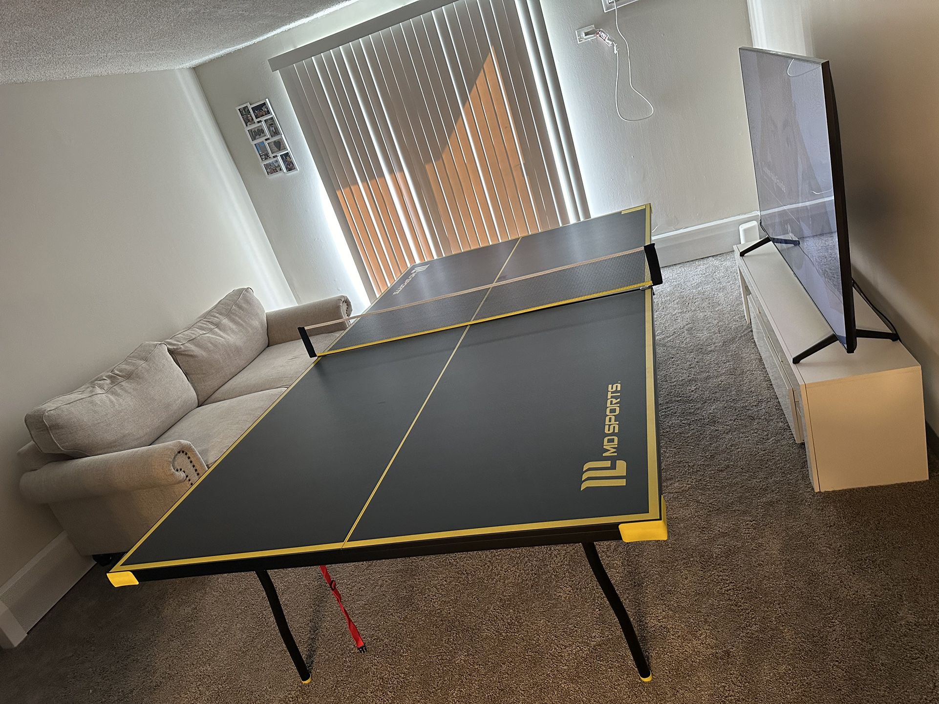 Foldable Ping Pong Table