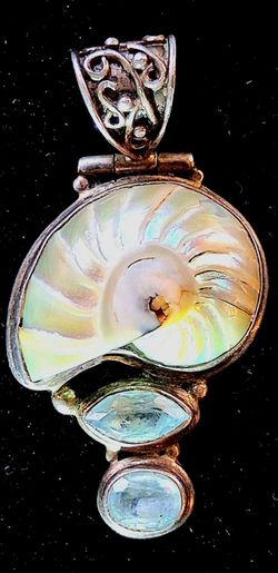 Rare 70M Yr Ammolite Fossil