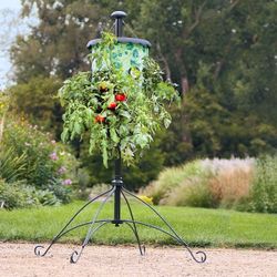 Topsy Turvy Tomato Plant Stand