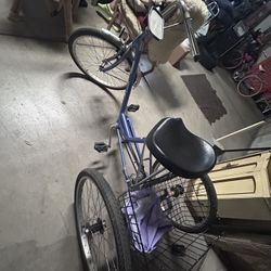 Tricycle Cruising Bike New Tires 