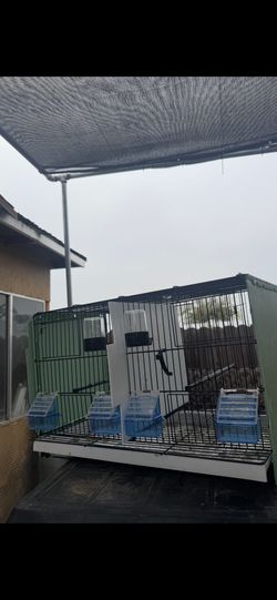 Large Cages
