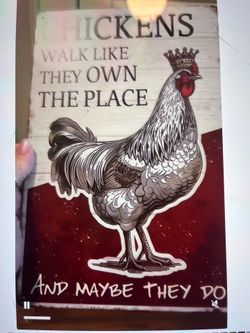 CHICKENS WALK AROUND LIKE THEY OWN THE PLACE METAL SIGN. NEW