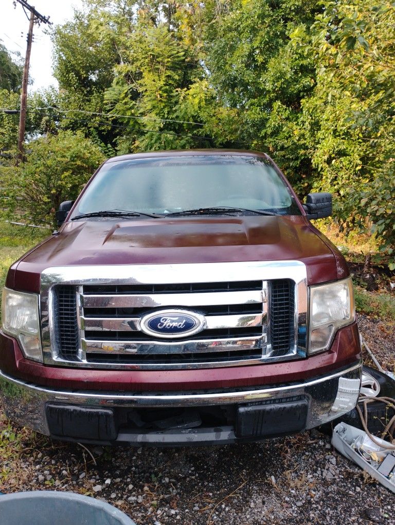 2010 Ford-F 150