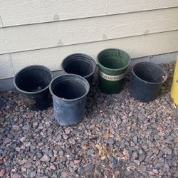 Flower Pots 