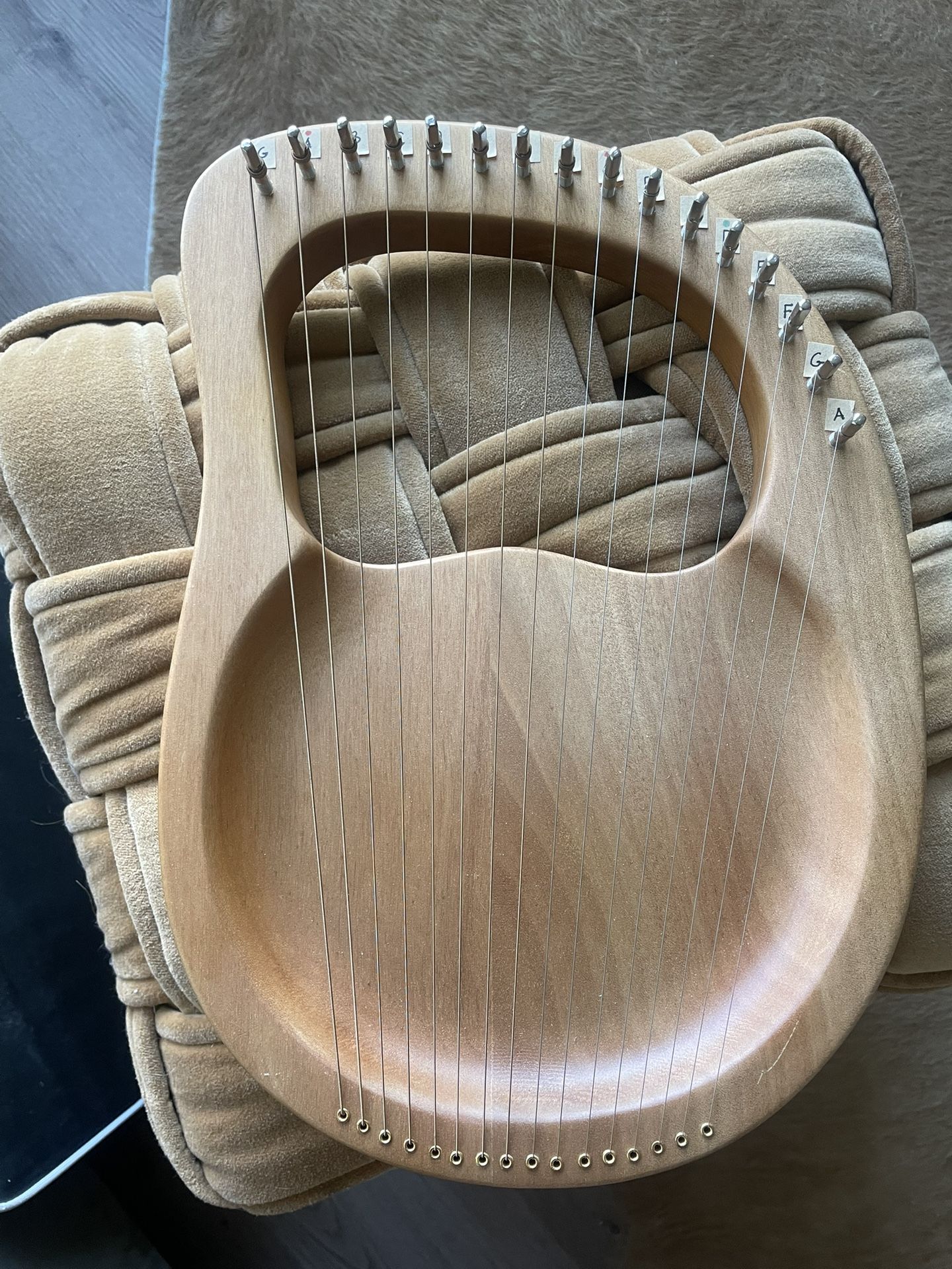 Wood Lyre Instrument & Beginner Set