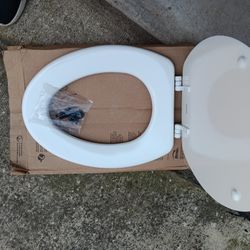 Toilet Seat