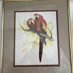 Framed Parrot Artwork