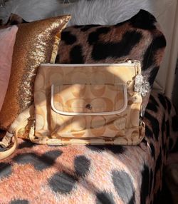 Vintage coach purse