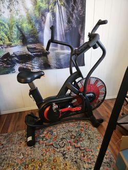 Stamina X Air bike