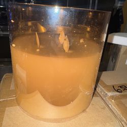 Candle Flameless