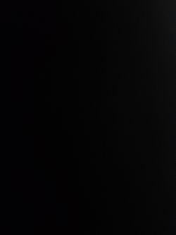 Girls 6x Clothes FREE