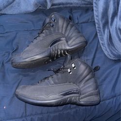 jordan 12 winterized