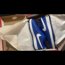 Royal Blue Nikes Size 10