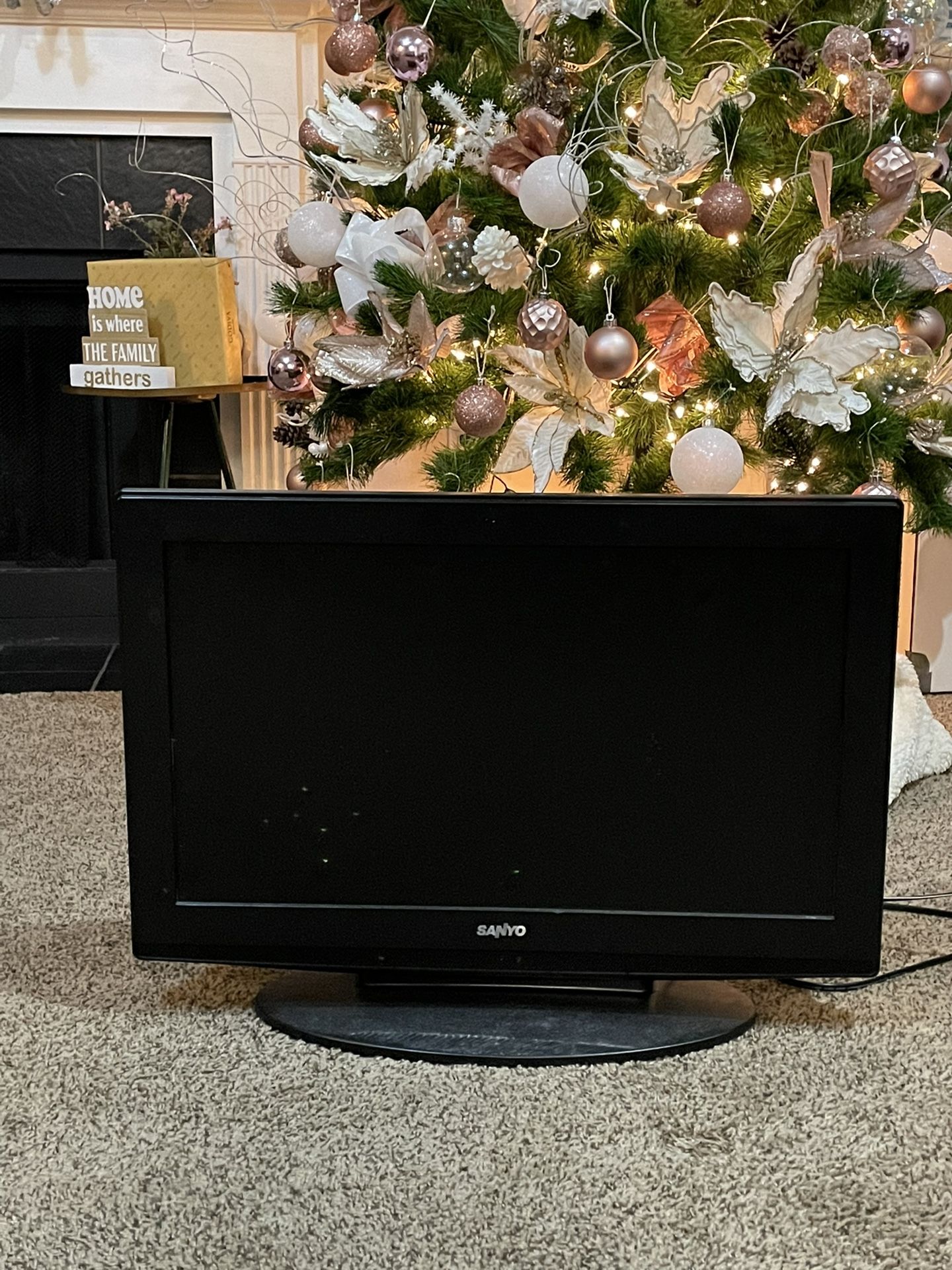 Sanyo 24" TV