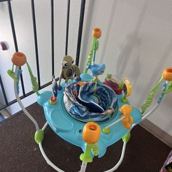 Finding Nemo Exercauser