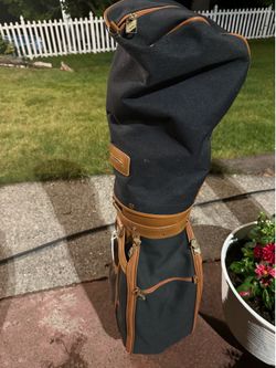 Golf clubs with bag
