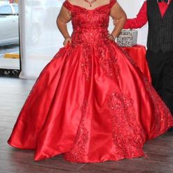 Plus Size Quince Dress