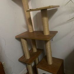 Cat Tower