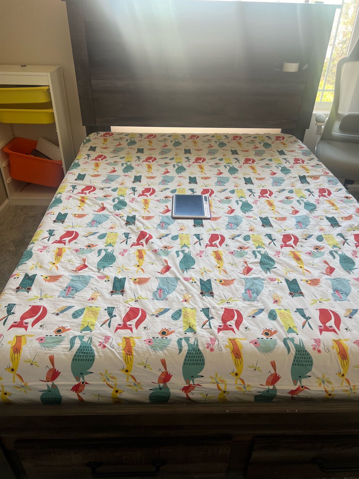 Light up Queen bed with like new mattress