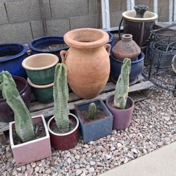 Pots And Cactus 