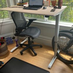 Standing Desk 