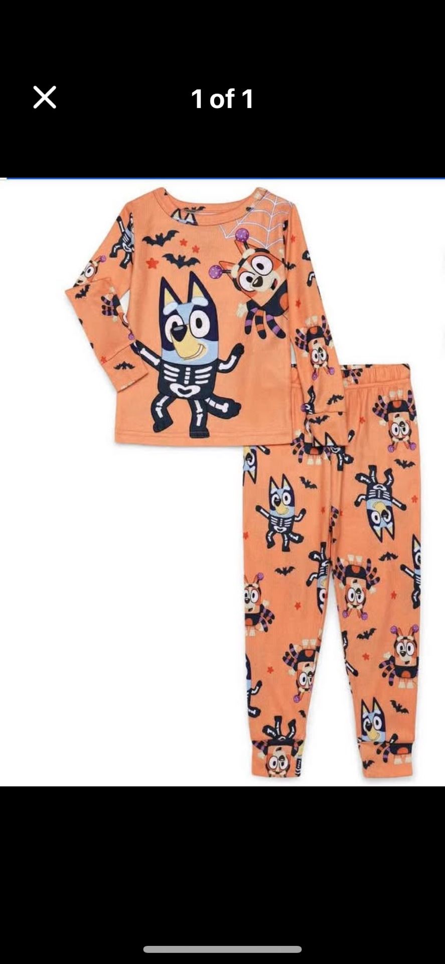 Bluey Toddler Pajama 2t