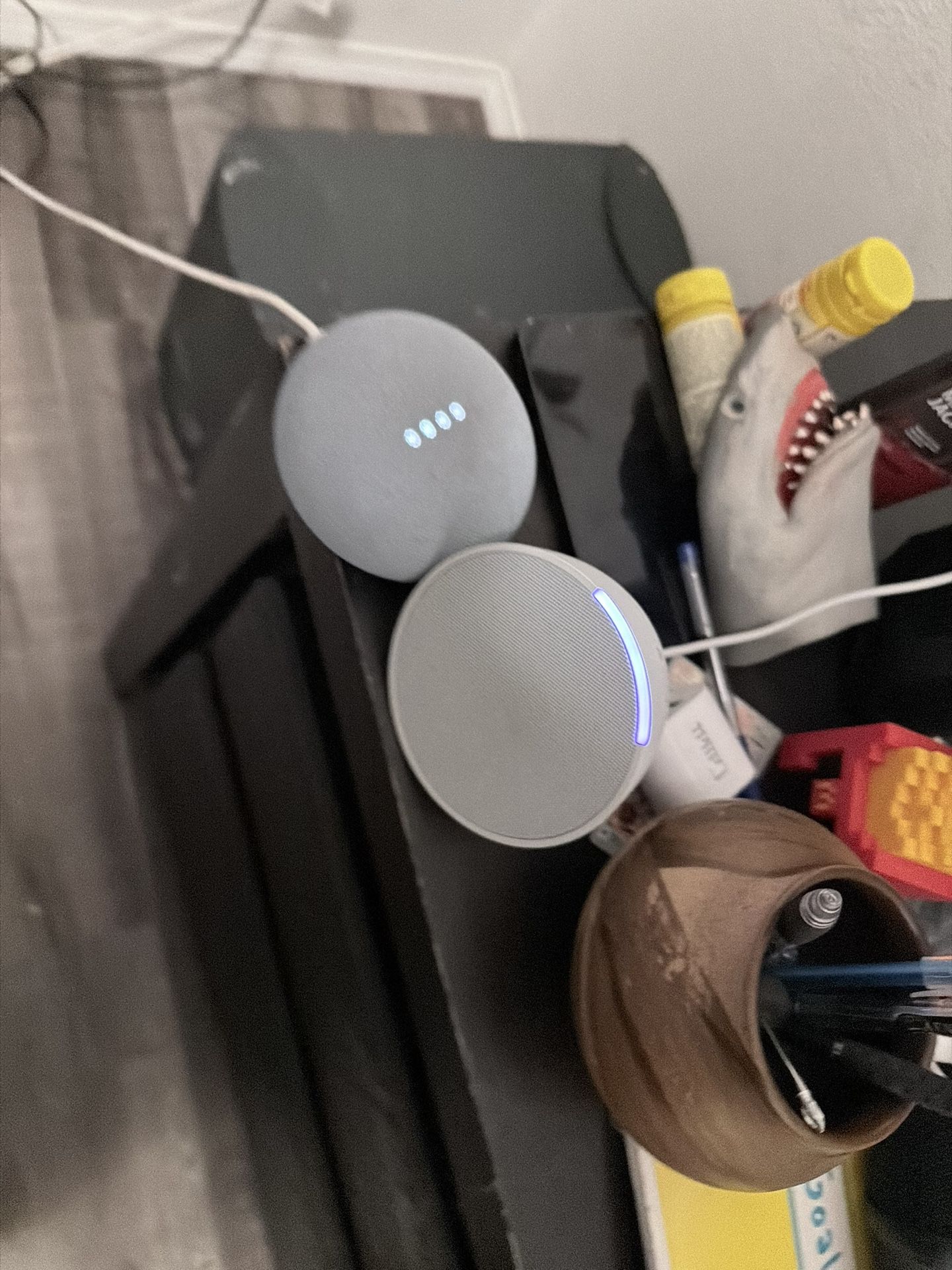 Google Home And Amazon Echo