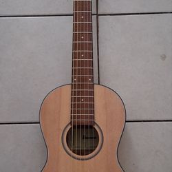 Ibanez parlor guitar New