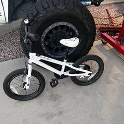 Great Kids Bike 