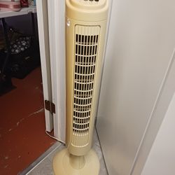 Fan 