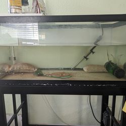 Fish Tank Aquarium
