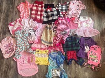 Dog Clothes 🐶