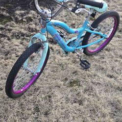 Schwinn deelite bike size 20