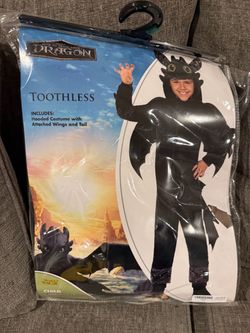 How to train a Dragon costume