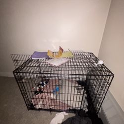 Large Crate