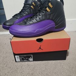 Jordan 12 Field Purple Sz11