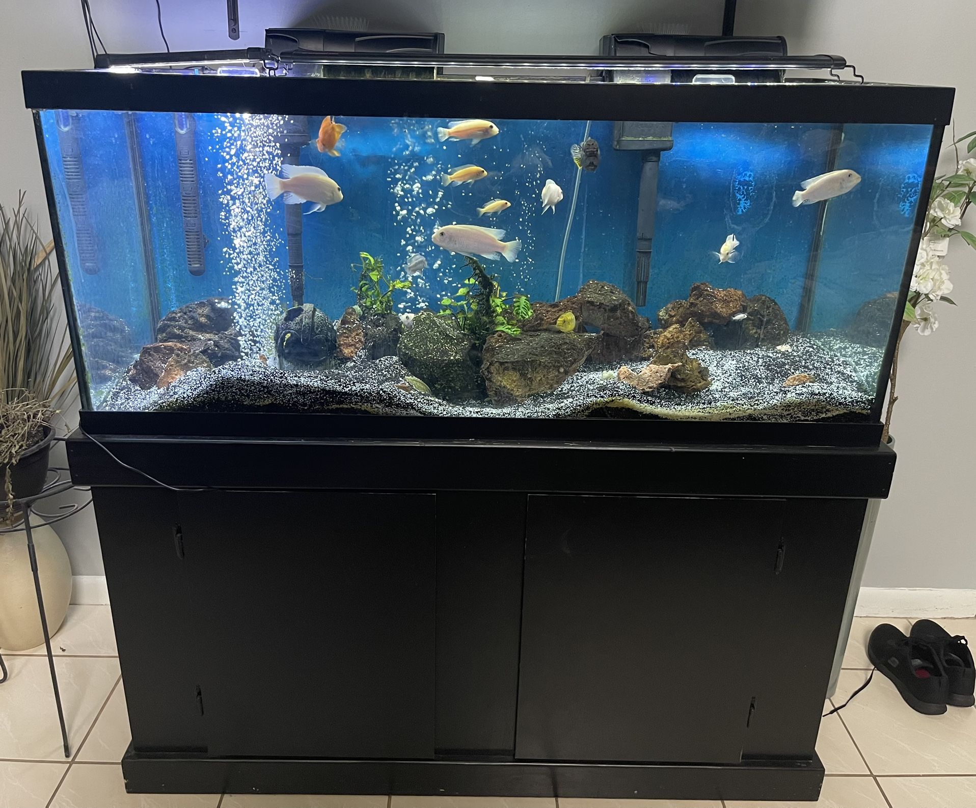 Fish tank Aquarium 75 Gallon With Stand And Extras